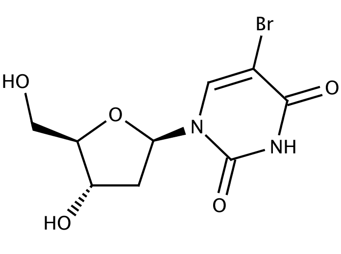 5-Bromo-2'-deoxyuridine