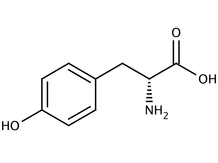 D-Tyrosine