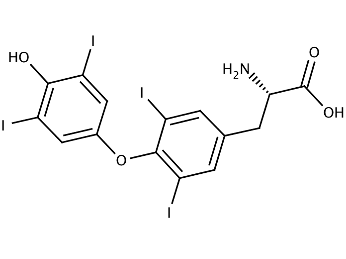 L-Thyroxine