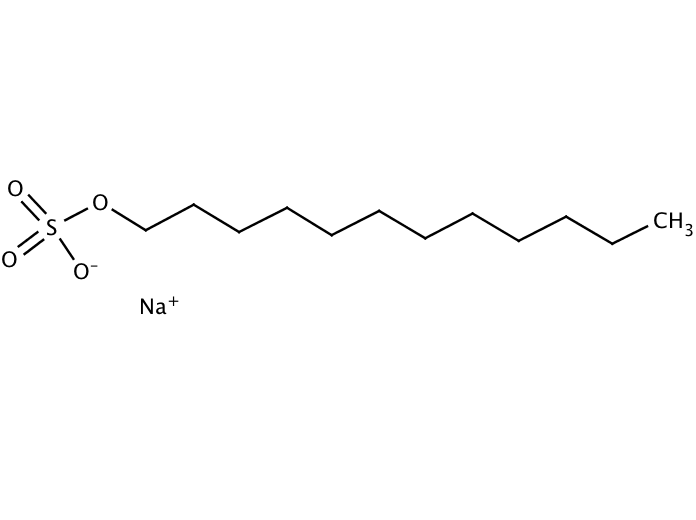 SDS (Sodium dodecyl sulfate)