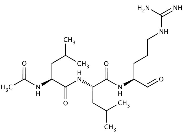 Leupeptin hemisulfate