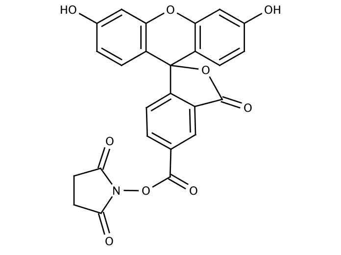 5-Carboxyfluorescein,succinimidyl ester