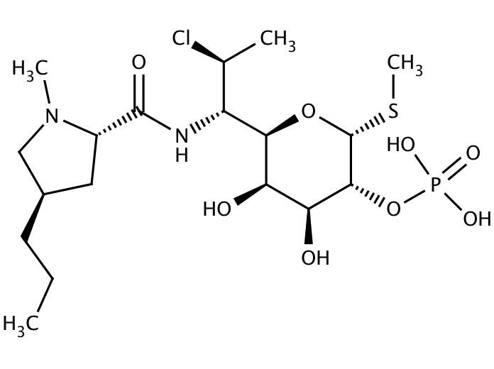 Clindamycin phosphate