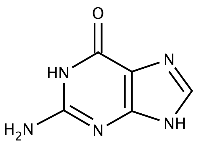 Guanine (2-Amino-6-hydroxypurine)