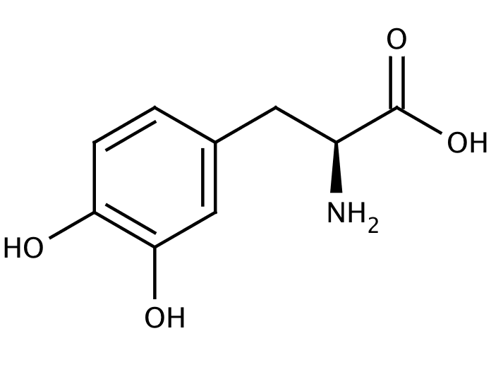 L-DOPA (3,4-Dihydroxy-L-phenylalanine)
